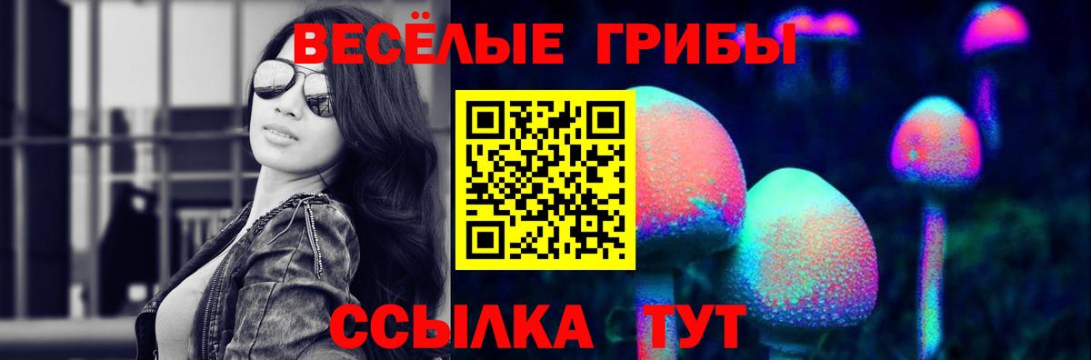  COCAIN Лосино-Петровский